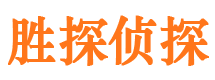 仪征胜探私家侦探公司